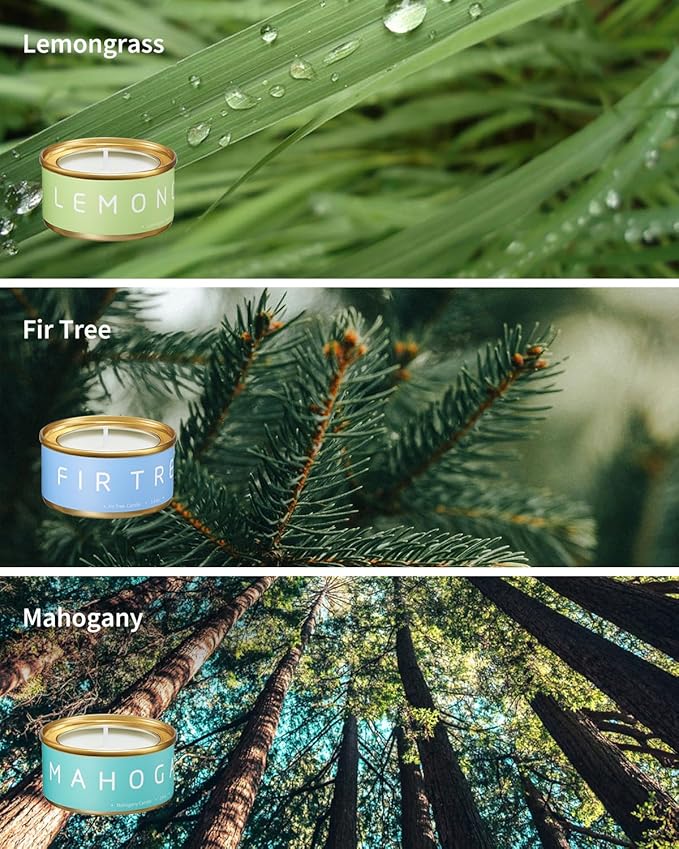 Christmas Luxury Scented Candles Gift Set, 6-Pack Variety Fall Scents, Natural Beeswax Aromatherapy Candles for Christmas Stocking Stuffer, Holiday, Birthday, Gift Ideas for Men & Women