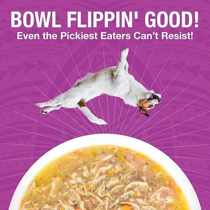 KOHA Pure Shreds Chicken and Beef Entrée for Dogs, 12.5oz Cans (Pack of 12)