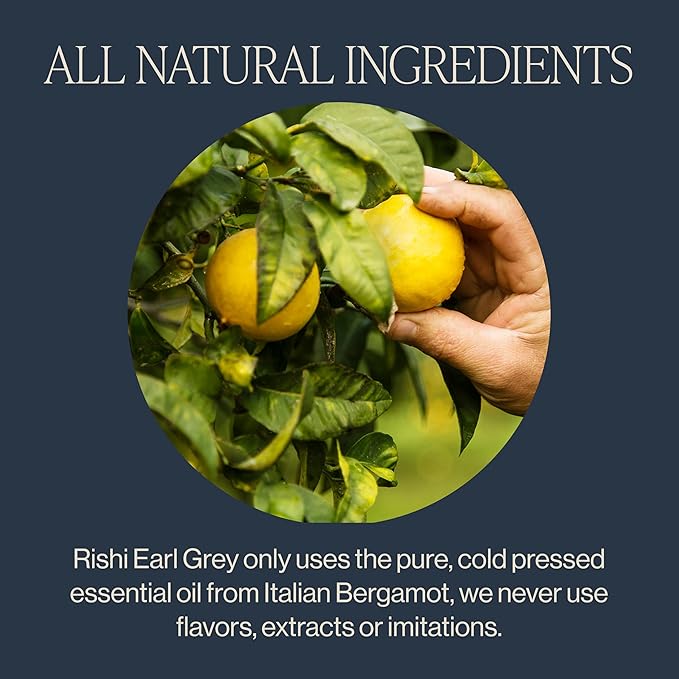 Rishi Tea Earl Grey Tea - Organic Loose Leaf Pure Black Tea with Bergamot Oil, Energizing & Caffeinated - 4 Ounces, 12+ Servings