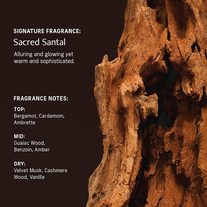 CYKLAR Nutrient Rich Body Cream. Sacred Santal Nourishing Moisturizer with Niacinamide and Banana Flower Extract. Deep Hydration, Thick Body Lotion, Dry Skin Cream for Women and Men, 8 Fl Oz