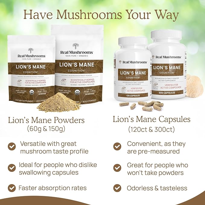 Lions Mane Mushroom Cognition (120 Capsules) Lions Mane Mushroom Powder Extract Capsules | Brain Supplement, Brain Vitamins, Focus Supplement
