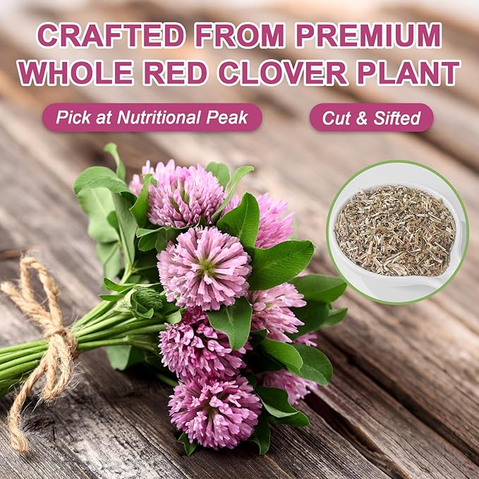 Fullchea - Red Clover Tea Bags, 50 Teabags - Pure Red Clover Herb - Non-GMO - Caffeine-Free - Rich in Antioxidants & Supports Wellness