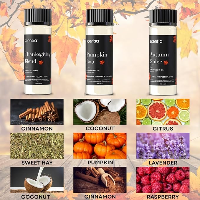 Scentia Fall Essential Oils for Diffuser with 3 Cozy Scents: Autumn Spice, Thanksgiving Blend & Pumpkin Boo - 20ml Aromatherapy Oils for Home, Candles & DIY - Perfect Fall Gift