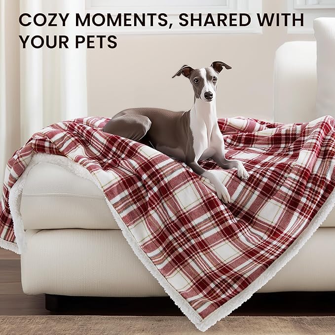 Heated Blanket Electric Throw-50''x60''Ultra Soft Cozy Plaid Flannel Fast Heating Electric Blanket with 10 Heat Levels & 10 Hours Auto Off, ETL Certified, Keep Warm in Couch Bed Office(Red)