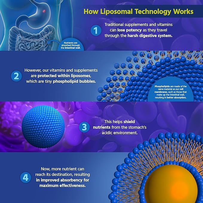 Core Med Science Liposomal Curcumin Resveratrol 200mg Curcumin and 75mg Resveratrol - 6 Fl Oz Liquid - High Absorption Curcumin Supplement