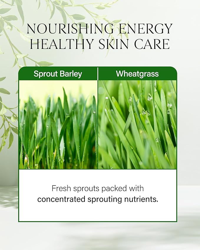 About Me Sprout Mild pH Cleansing Oil – Korean Single Step Oil Cleanser for Sensitive Skin – Daily PHA Gentle Exfoliation with Wheat & Broccoli Sprout – Korean Skin Care – 6.59oz, 195ml