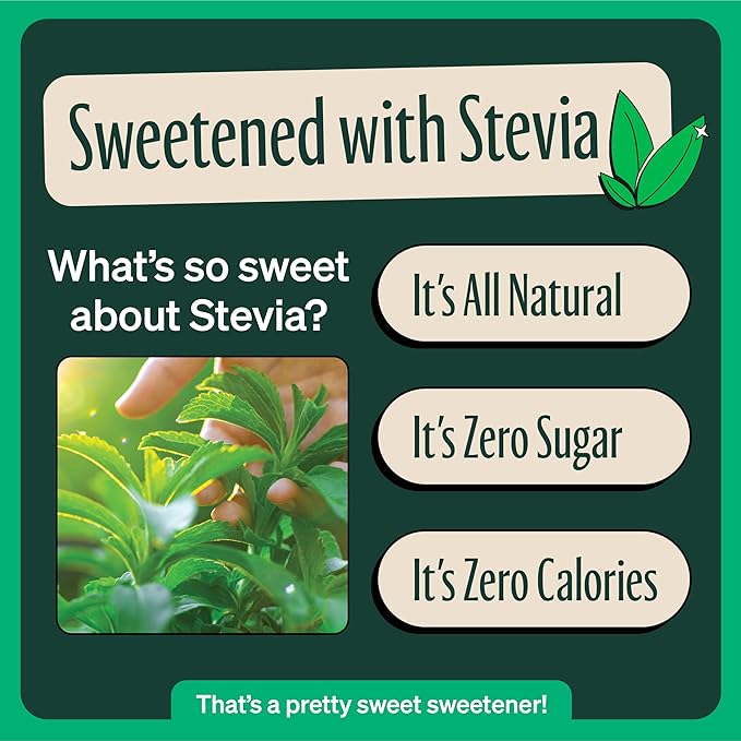 Zevia Zero Sugar Tea, Black Tea with Raspberry, 12 oz Cans (12-Pack) – Naturally Sweetened, Zero Calorie Sugar Free - Non-GMO Project Verified, Gluten-Free, Vegan