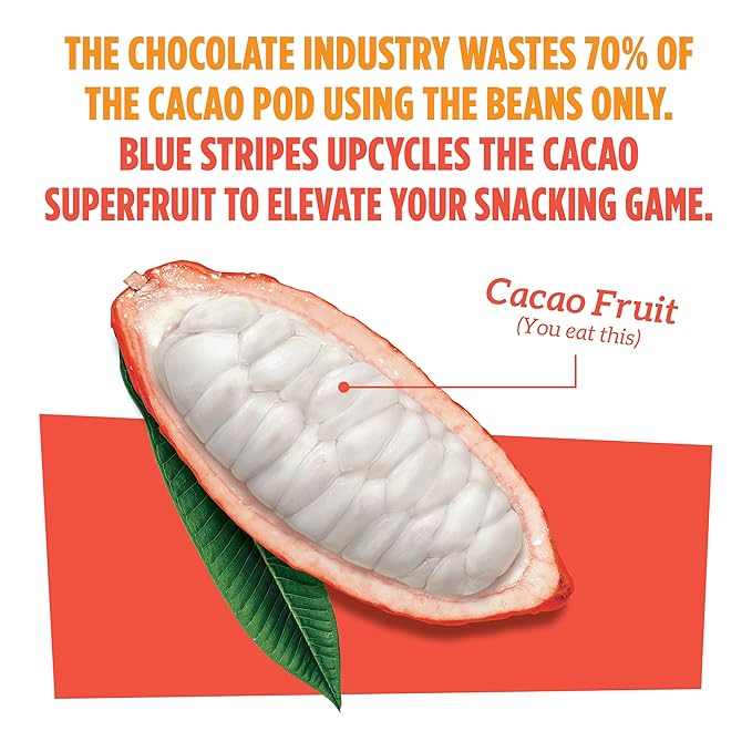 Blue Stripes Cacao Superfruit Gummies - Vegan Chewy Fruity Snack, No Sugar Added 100% Fruit Gummy, 9 Essential Vitamins & Minerals, Natural Tropical Superfood - Mango & Cacao, 3.2 oz (2 Pack)