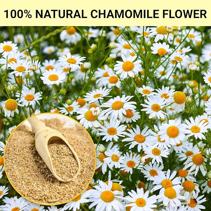 Chamomile Tea Bags, 100% Pure Natural Chamomile Flower Herbal Tea for Relaxation, Caffeine Free, Non-GMO, Additives Free,No Sugar/Gluten（1 Pack/100 Bags)