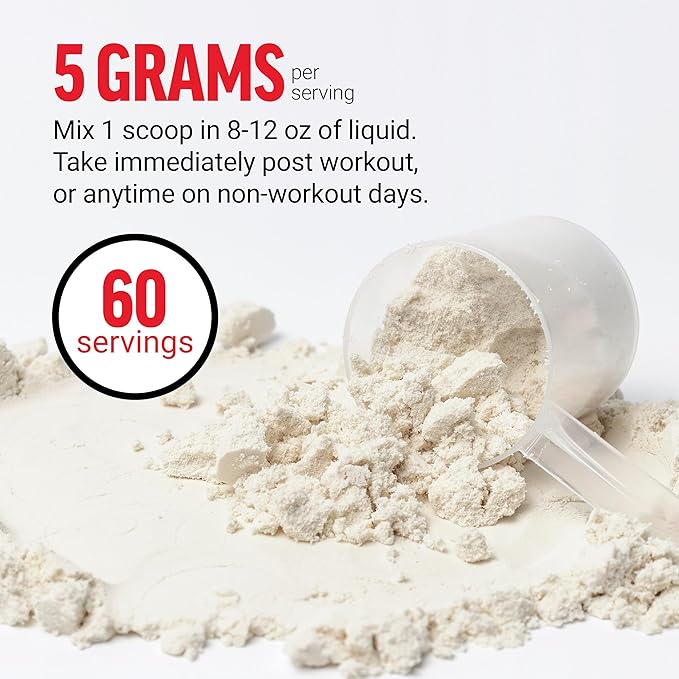 Force Factor Creatine Monohydrate Powder, 5g Micronized Dose to Support Muscle Growth, Strength, Recovery, Cognitive Health & Memory, Unflavored, 60 Servings