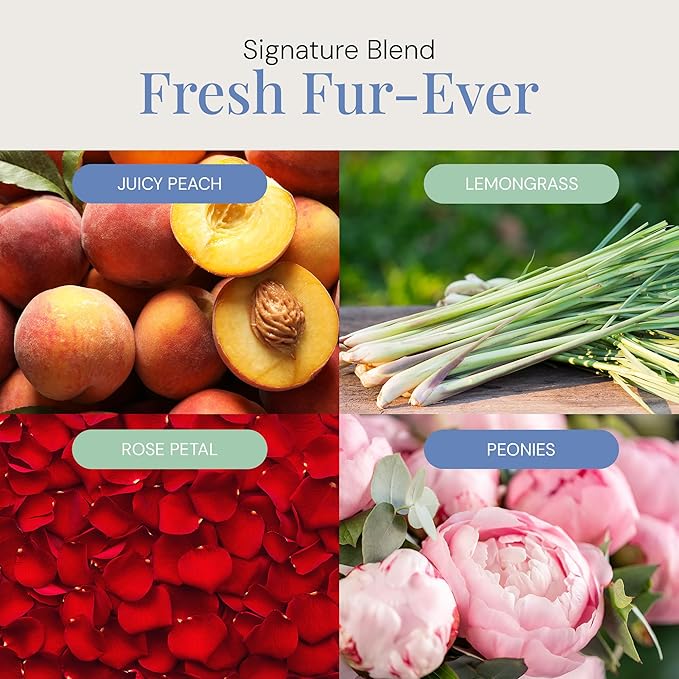 Air Esscentials Fresh Fur-Ever Aroma Oil - Pet-Preferred Pure Essential Oil for Scent Machines & Cold-Air Diffusers | Juicy Peach & Lemongrass | Floral Harmony | Comforting Sandalwood Finish | 100mL