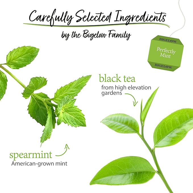 Bigelow Tea Perfectly Mint Black Tea, Caffeinated with Spearmint, 20 Count Box (Pack of 6), 120 Total Tea Bags