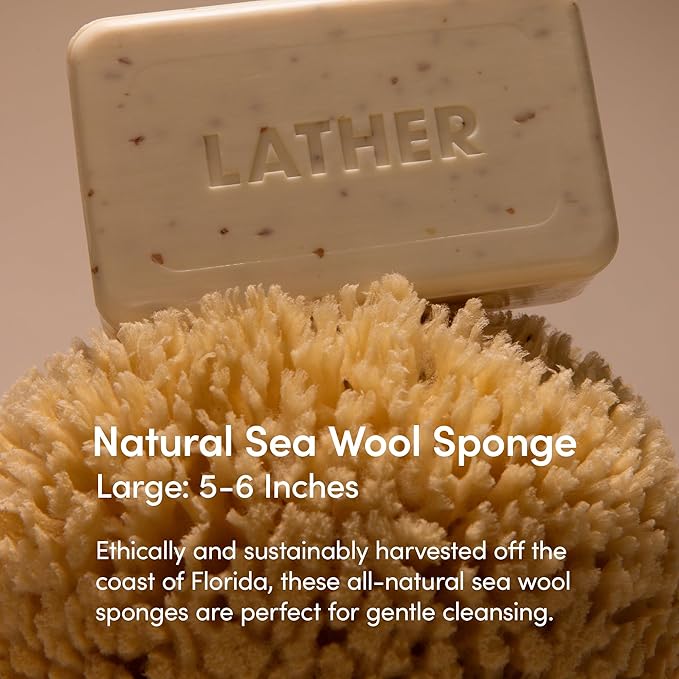 LATHER - Natural Sea Wool Sponge, 5-6" - Organic Exfoliating Body Scrubber - Soft, Gentle Cleansing - Hypoallergenic - All Skin Types - Florida Natural Loofah Sponge - Cruelty Free - Beauty & Skincare
