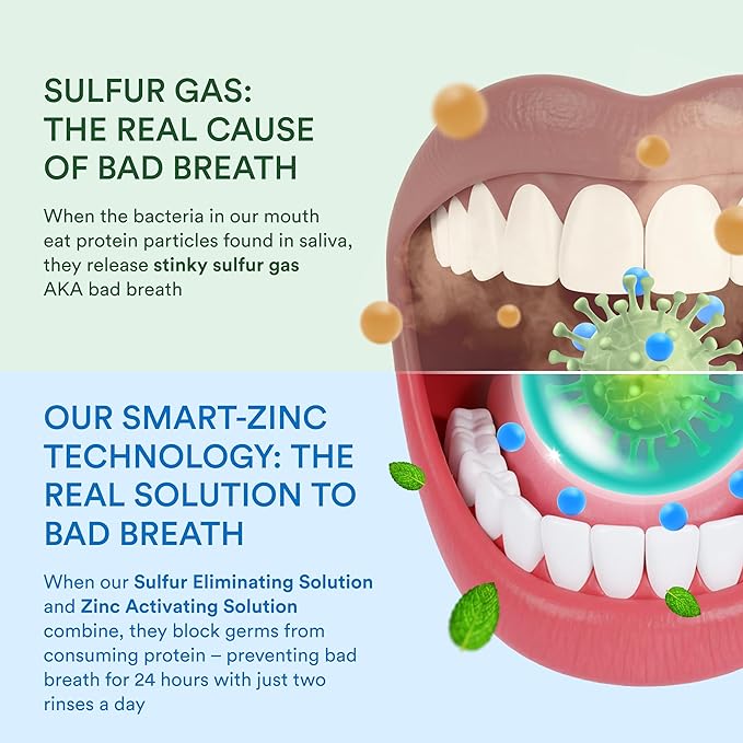 SmartMouth DDS Activated Clinical Mouthwash - Adult Mouthwash for Fresh Breath - for Gum Health, Gingivitis & More - Clean Mint Flavor, 16 fl oz (2 Pack)