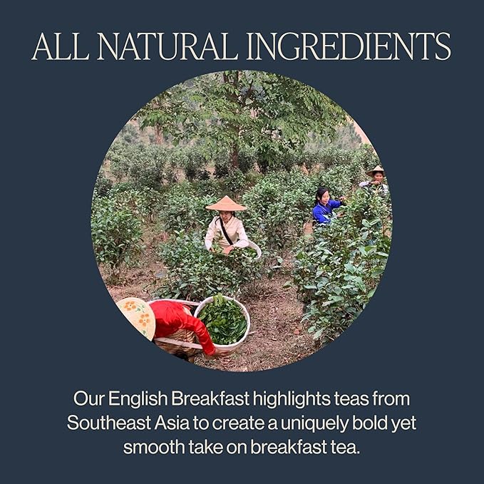 Rishi Tea English Breakfast Tea - Organic Sachet Tea Bags, Energizing & Caffeinated Pure Black Tea, Ideal for Hot or Iced Tea - 50 Count