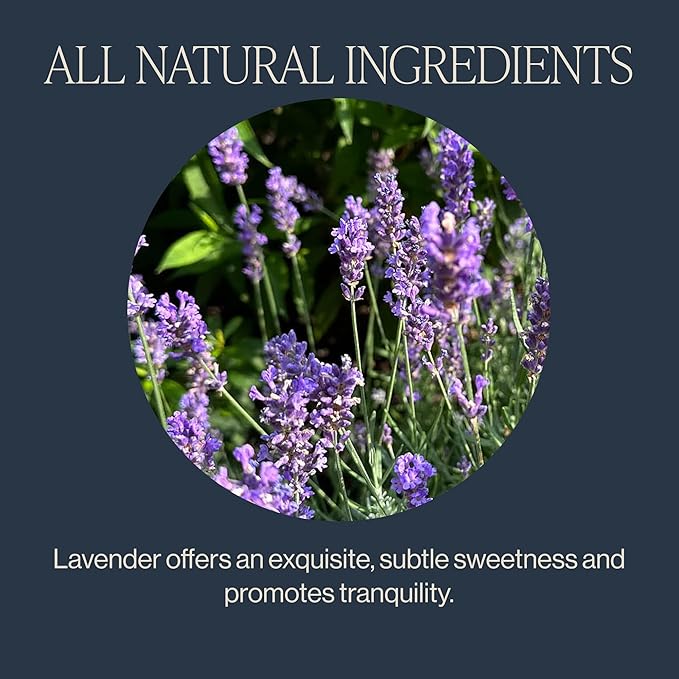 Rishi Tea Lavender Mint Herbal Tea - Organic, Caffeine Free Sachet Bags, Calming Lavender with Peppermint & Sage - 15 Count (Pack of 6)