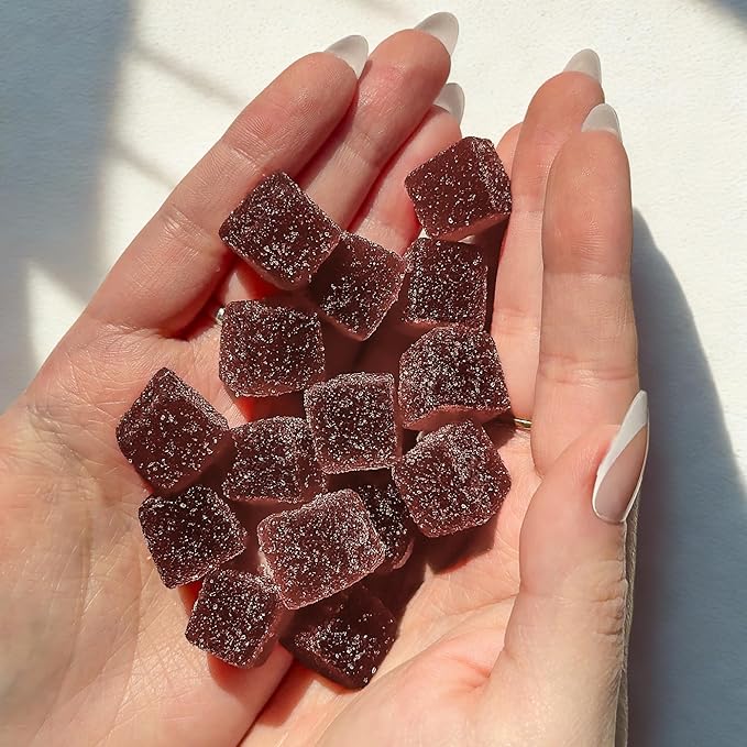 Snoozy Bedtime Buddy, Reishi Mushroom Sleep Gummies | Chamomile, Valerian Root, Lemon Balm Extract | Natural Sleep Aid, Melatonin Free | Raspberry Flavored, 60 Gummies, 1 Pack