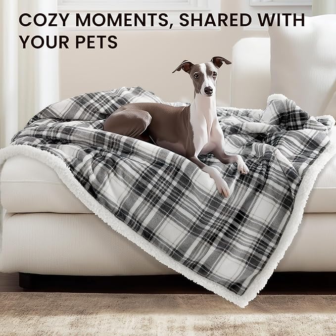 Heated Blanket Electric Throw-50''x60''Ultra Soft Cozy Plaid Flannel Fast Heating Electric Blanket with 10 Heat Levels & 10 Hours Auto Off, ETL Certified, Keep Warm in Couch Bed Office(Grey)
