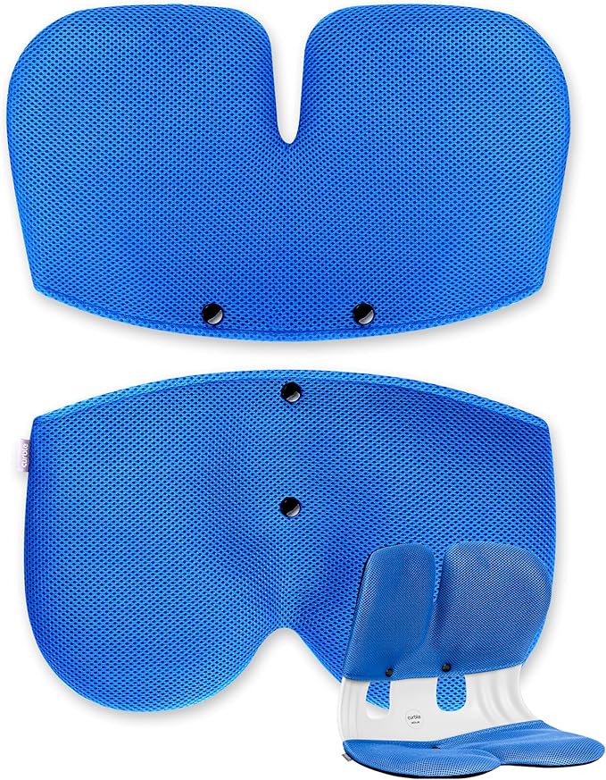 curble Grand Cover, Detachable Cover for Adult Chair, Ergonomic Chair Back Support and Lumbar Support (Blue)