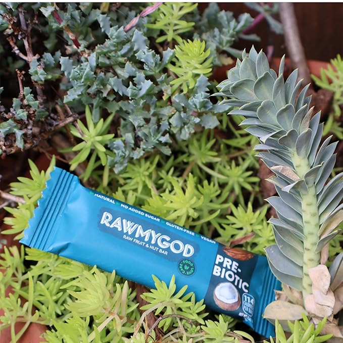 RAWMYGOD Fruit and Nut Bars, Gluten Free, Vegan, No Added Sugar (20 bars, Prebiotic)
